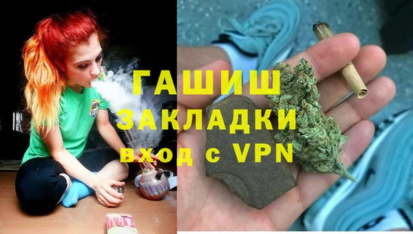 гидра Арсеньев
