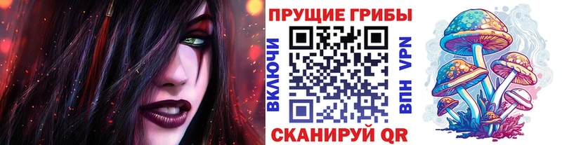 Галлюциногенные грибы Psilocybine cubensis  Горячий Ключ 